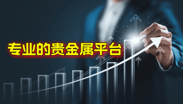 2024国内最多人用的十个热门贵金属交易平台