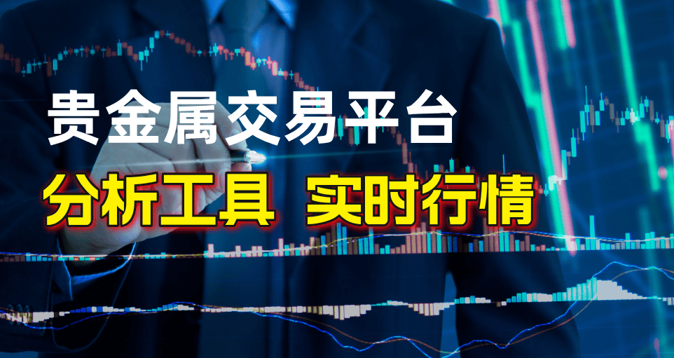 贵金属投资者的选择，2024十大好评交易平台盘点