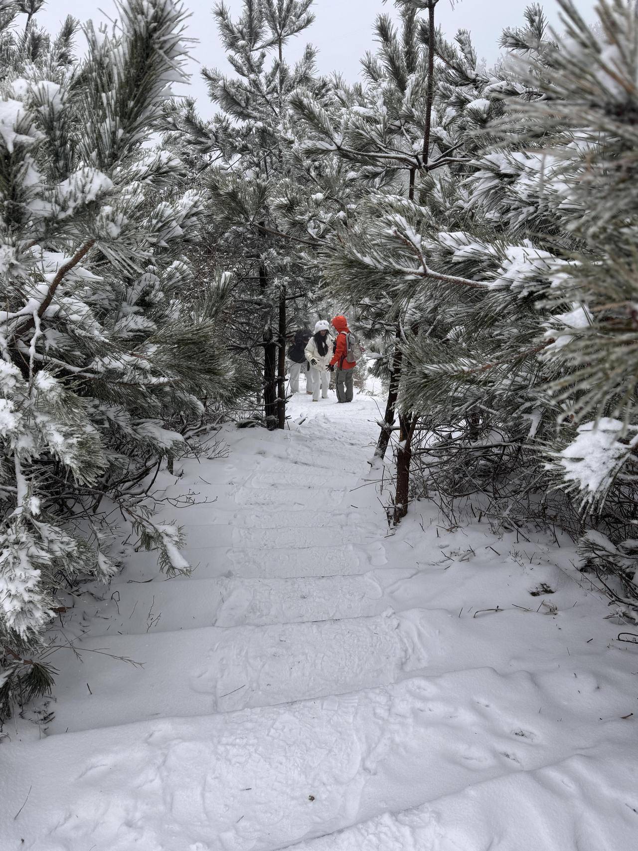 刚刚西湖边飘雪子了？浙江多地下雪，第一波赏雪大军已到达
