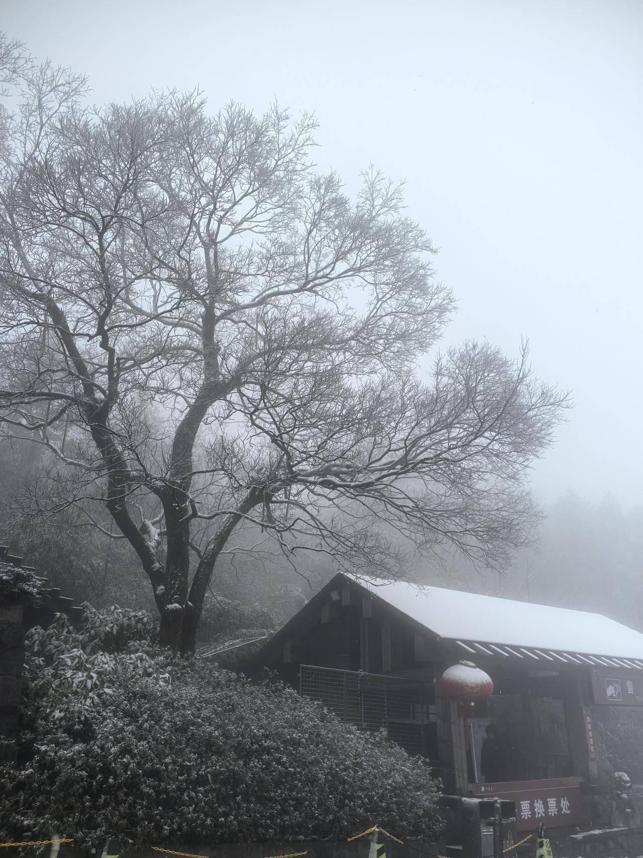 刚刚西湖边飘雪子了？浙江多地下雪，第一波赏雪大军已到达