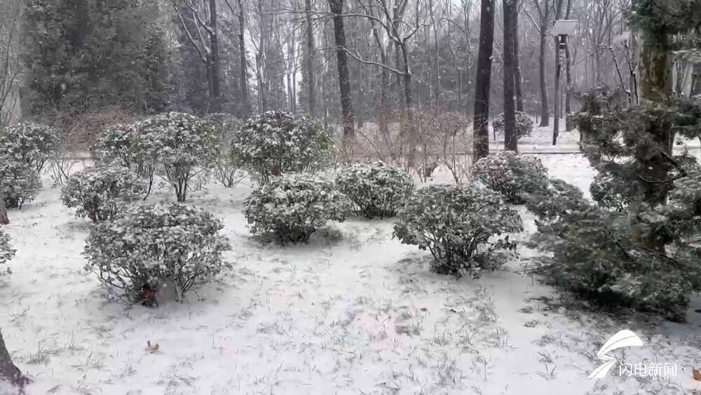 53县破历史极值！专家：山东本轮雨雪极端、罕见 刷新“气象史”纪录
