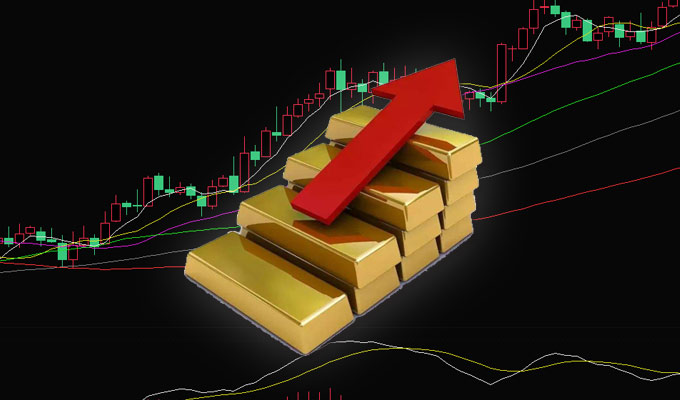 中盈贵金属(中盈有限公司)