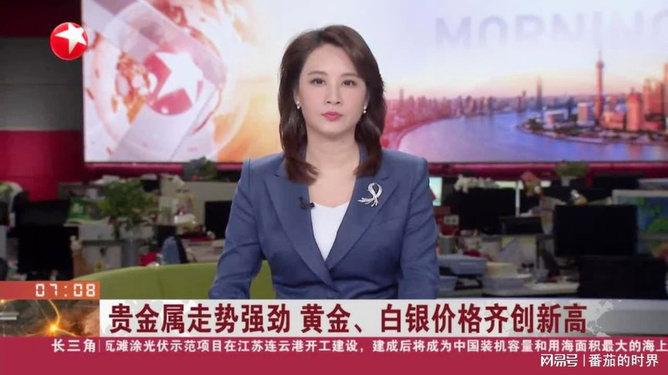 中盈贵金属(深圳市中盈贵金属股份有限公司)