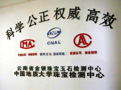 广东省珠宝玉石及贵金属检测中心(广东省珠宝玉石及贵金属检测中心上班时间)