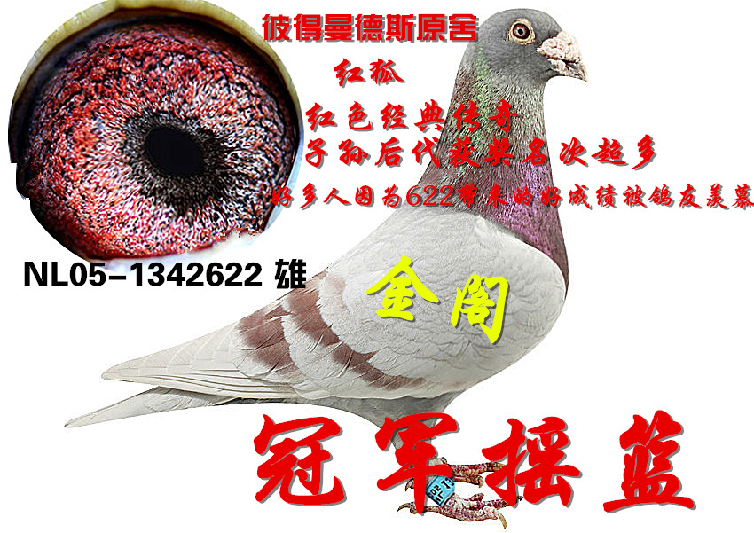金阁贵金属(金阁家常菜馆贵阳路店怎么样)
