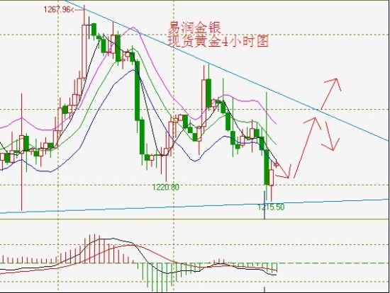 易润贵金属(江苏易润信息技术有限公司干什么的)