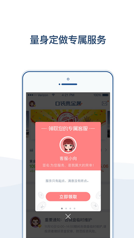 口袋贵金属电脑版(口袋贵金属电脑版价格闪点怎么关闭)